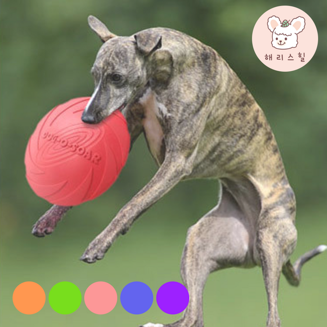 해리스힐 강아지 원반 말랑말랑 연습용 프리스비, 1개, 오렌지