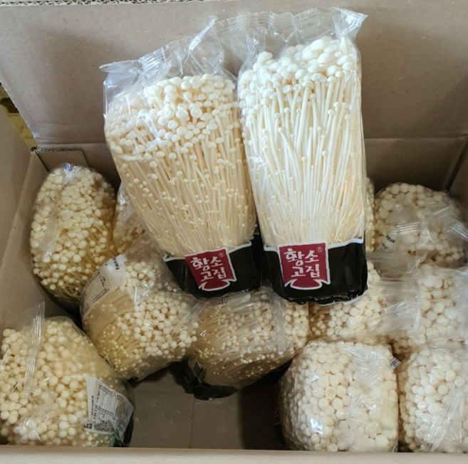 황소고집 병팽이, 1박스, 5kg