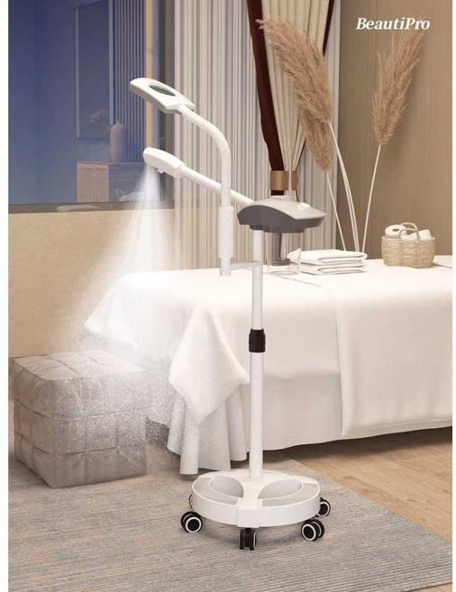 업소용 얼굴스팀기 2in1 LED조명 페이스 스티머 나노 분사 이온 관리기기 열분사, 상세페이지 참고, 화이트 (라이트 미포함)