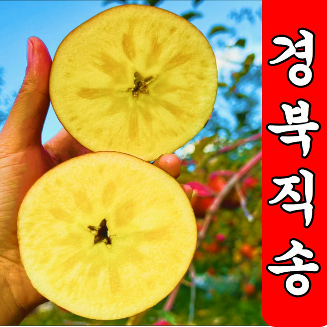 [도매가판매] A급가정용 꿀당도 부사 사과, 1박스, 2kg