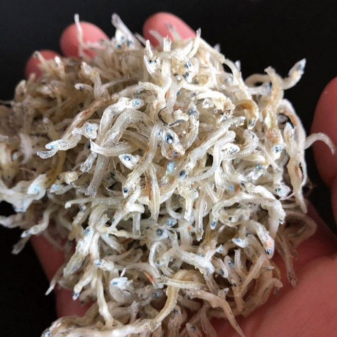 신건호멸치 직접잡은 햇 지리멸치 상급 볶음멸치 잔멸치, 500g, 1개