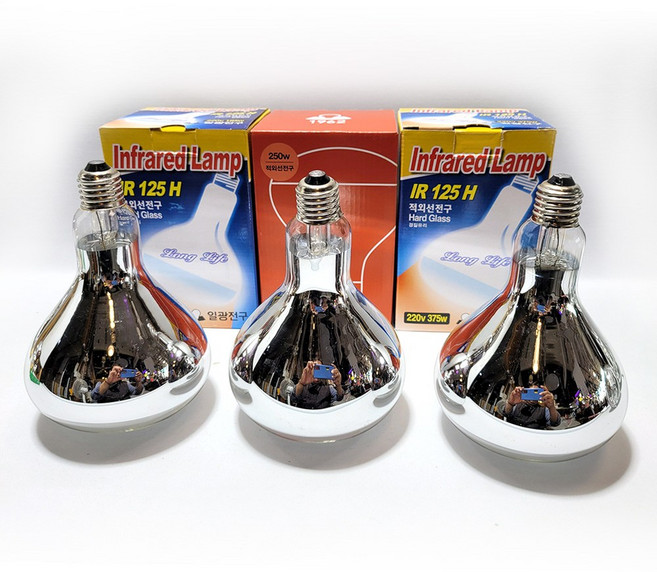 (1BOX 10개입) 경질 열전구 보온등 히터전구 일광, 250W, 1세트