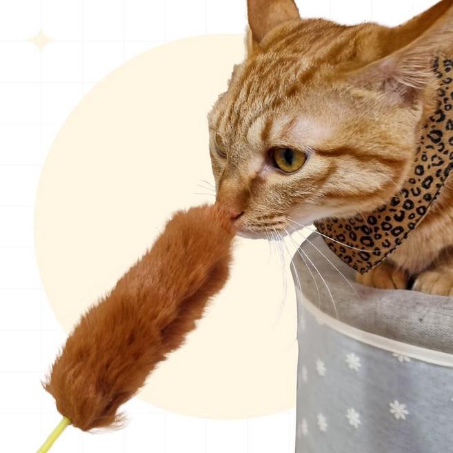 나마스펫 고양이 오뎅 꼬치 막대 장난감, 1개, LST-30 응원 낚시 막대