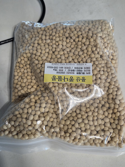 콩나물 햇콩 국산 25년산 소립종 풍산품종 낫토용콩 발아율100 삶는시간 1000g 1개, 1kg