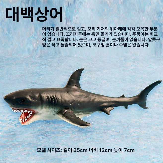 참치 모형 인테리어 장식품 스시 참다랑어 횟집 가짜 장식용 생선회 세트 장식 다랑어, 부드러운 고무 20cm 대백상아리104