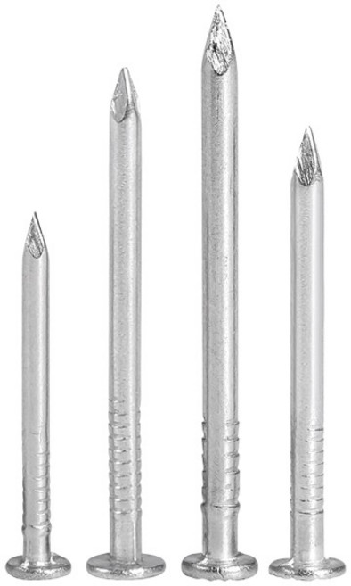 304 스테인리스 스틸 목공 라운드 못 시멘트 벽 못 0.5 -6, 02 5 inch (2Pcs)