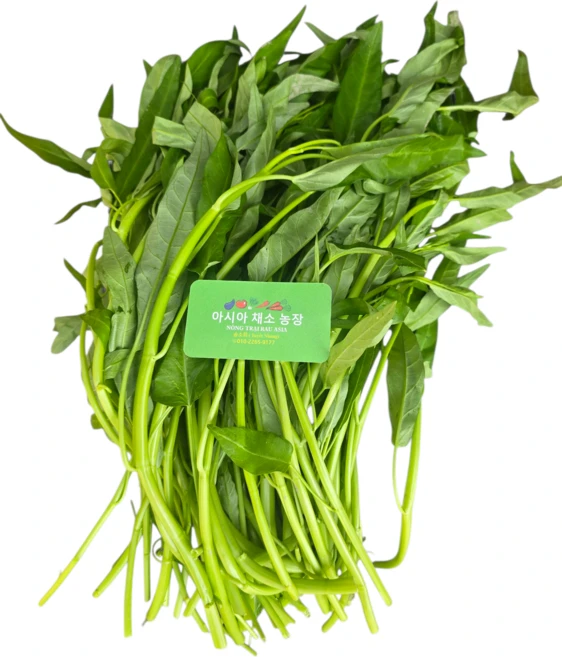 공심채 1kg /모닝글로리/rau muong / 금요일 발송 토요일 도착., 1개 - 쿠팡