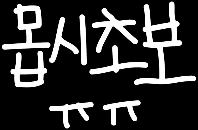 삐뚤빼뚤 초보운전 스티커, 1개, 몹시초보