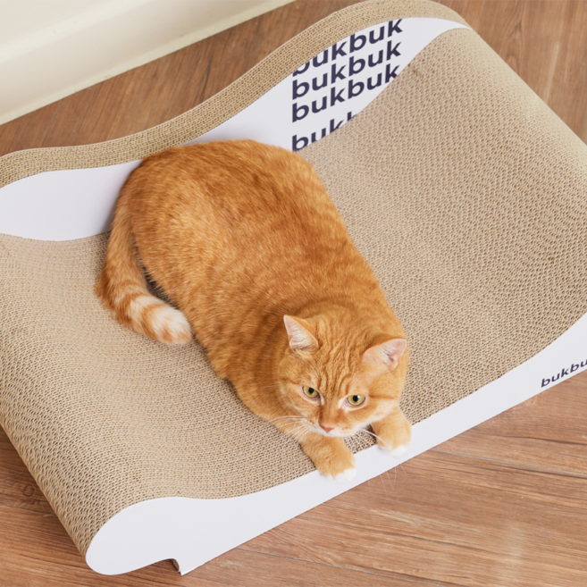 삼육오일 벅벅 소파 스크래쳐, 화이트, 1개