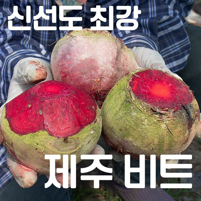 [제주 농장 직송] 달달 아삭 제주도 레드 비트 가정용, 1박스, 3kg