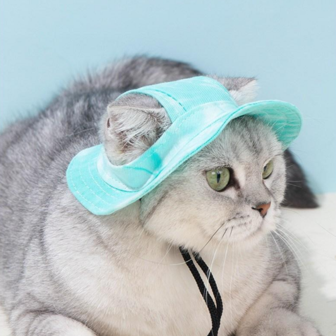 Warmth 강아지 모자 강아지 썬캡 고양이 모자 안벗겨지는 애견모자, 1개, Green