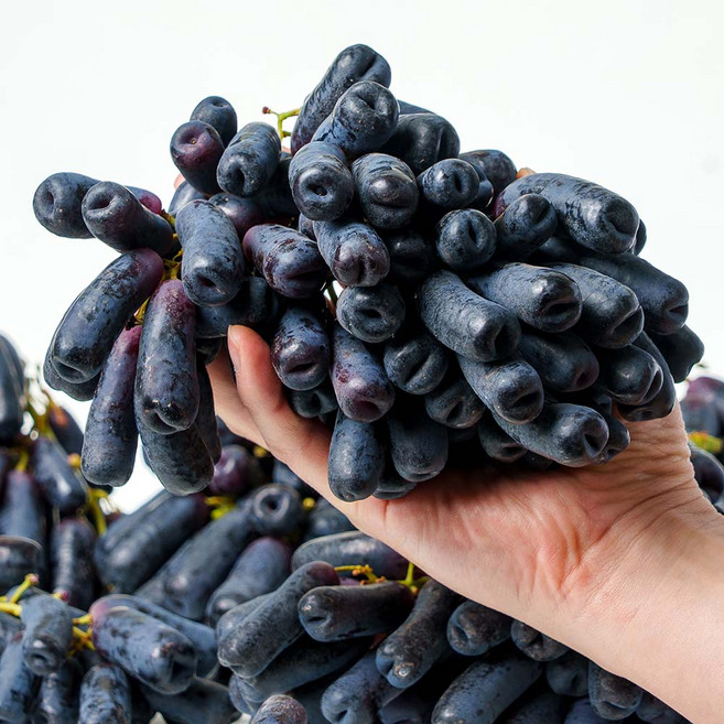 [재구매1위] 씨없는포도 블랙사파이어 포도 10kg 옵션형 가지포도 고당도 수입포도, 1개, 1kg