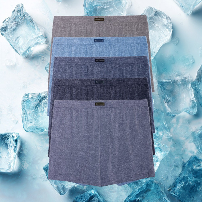 남성 쿨에어 레이온 인견 인팅 트렁크 팬티 여름 남자속옷 5종세트