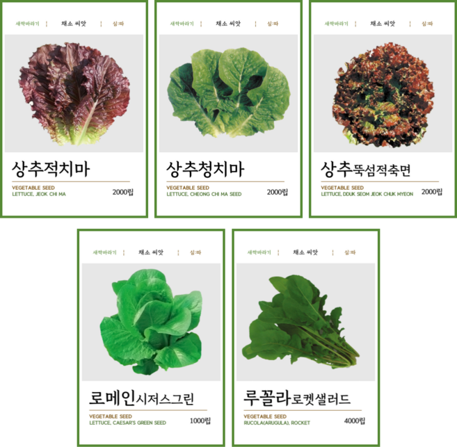 심따 텃밭 쌈 채소 씨앗 5종 적치마 청치마 루꼴라 로켓 로메인 꽃상추 씨앗, 5개
