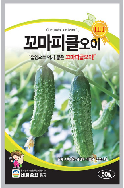 꼬마피클오이 50립 세계종묘 피클오이씨앗, 1개