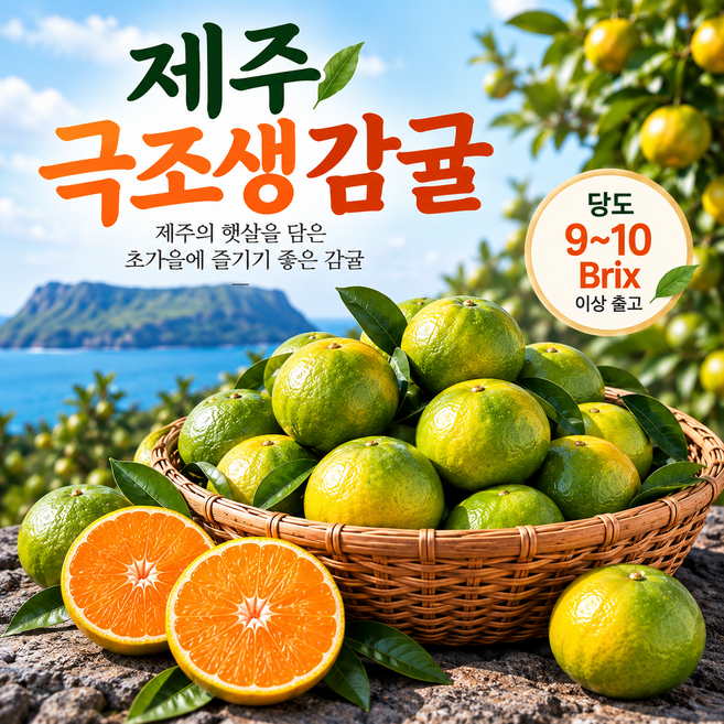 제주 극조생 감귤 산지직송 국내산 귤, 1박스, 소과 10kg