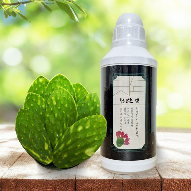 서선생 천년초겔 500ml 약사가 참여한 무농약 건강즙 식이섬유 풍부한 고농축 숙성발효즙, 1개