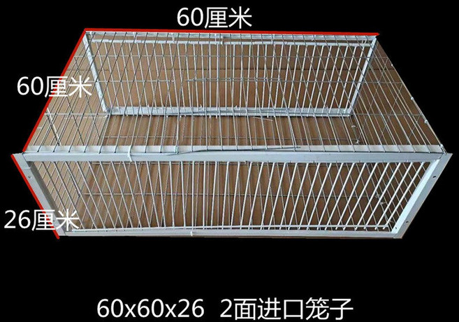 비둘기 새덫 트랩 두더지 철망 어망 까치 그리드 까마귀 유해 구조 케 함정, 6 암호화 60 가로 60 세로 26 높이 2