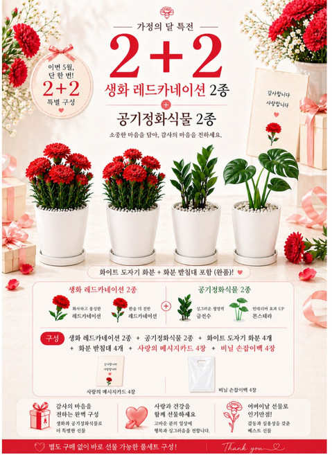 가정의달 특전 4종세트 (2+2) 어버이날 카네이션 화분 생화 레드 중형 2개 +공기정화식물 (금전수 몬스테라) 2개+ 화이트 도자기 화분 선물용 메시지카드 포함, 4개