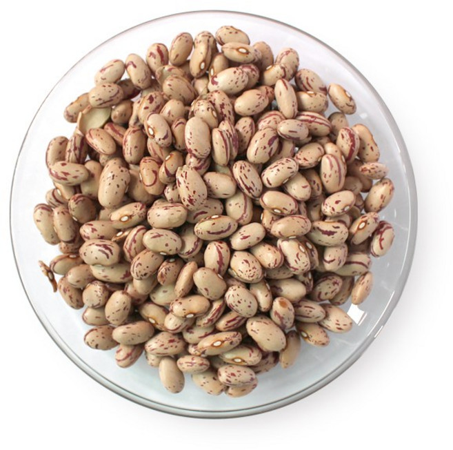 갑당약초 호랑이콩 1KG 매화 강낭콩, 3개