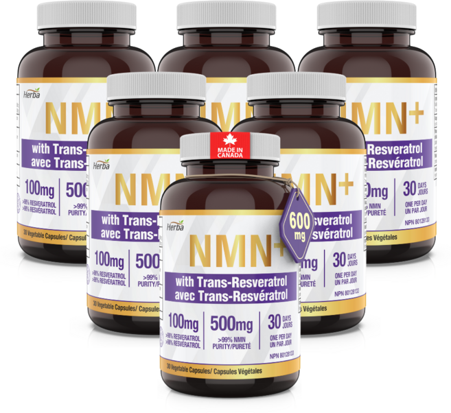 NMN 500mg 30식물성캡슐 트렌스 레스베라트롤 100mg 함유 허바캐나다, 6개, 30정
