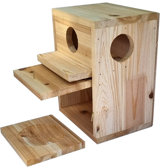 잉꼬새 둥지 알통 [중], 1개