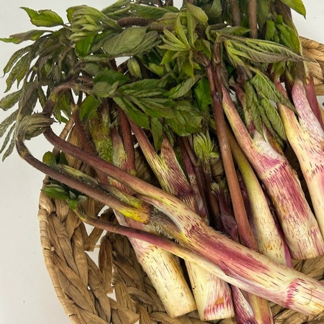 아삭하고 쌉쌀한 풍미 땅두릅, 2kg, 1개