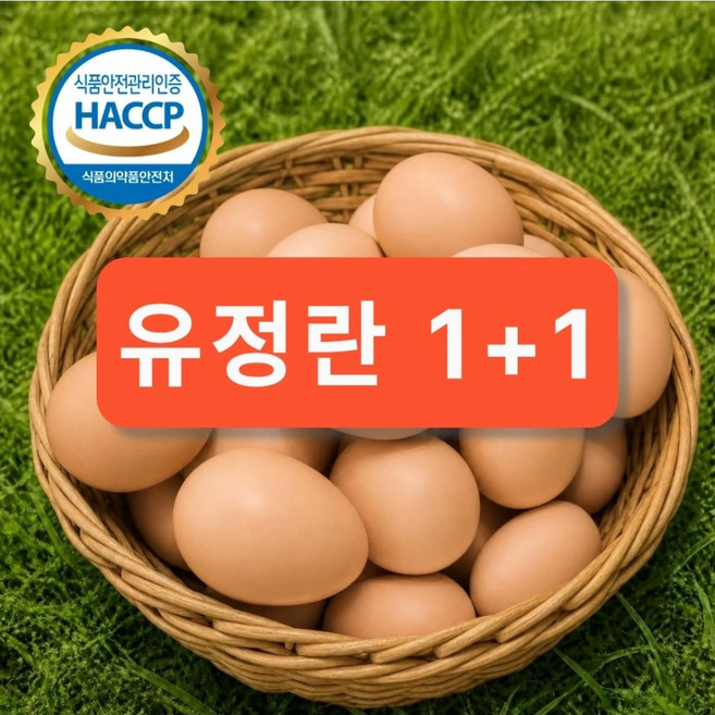 [1+1] 수경이네 유정란 난각번호 1번 자연방목 자연방사 계란 살색란, 1개, 60구