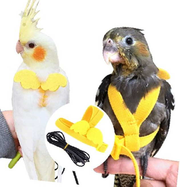 안전 조류 목줄 이동 외출용 훈련 착용 보호 세트, 1-앵무새하네스-XS