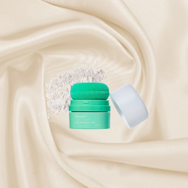 브리지오 스타일 + 트리트 논에어로졸 & 탈크프리 드라이 샴푸 파우더 퍼프 반투명 논에어로졸 드라이샴푸 환자용 여행용 휴대용, 15g, 1개 - 쿠팡