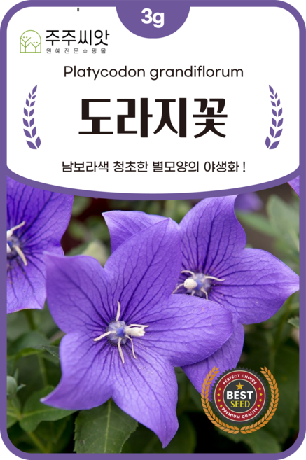 [주주씨앗] 도라지꽃 씨앗 3g / 청초한 별같은 다년생 야생화 꽃씨 씨앗몰, 1개