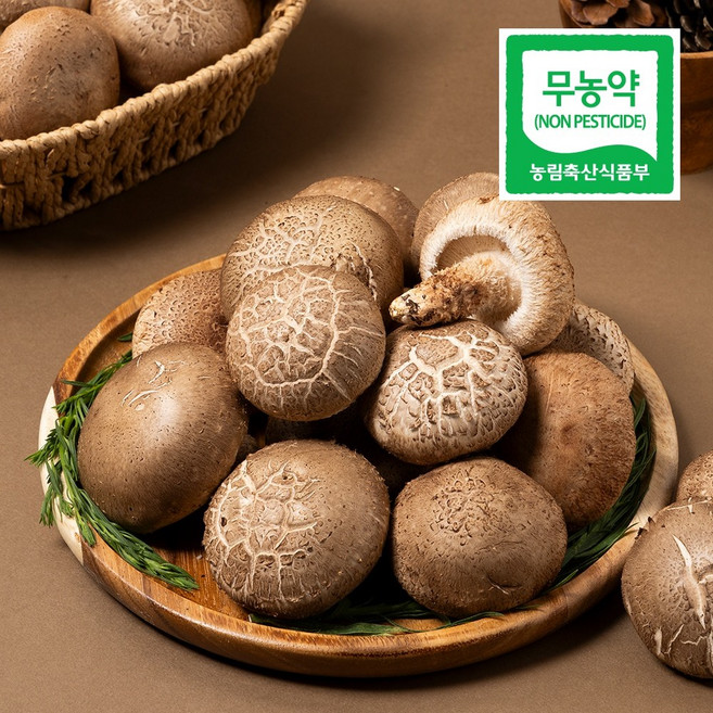 광헌팜 생표고버섯 1kg/2kg/4kg, 표고버섯 못난이 2kg, 1개
