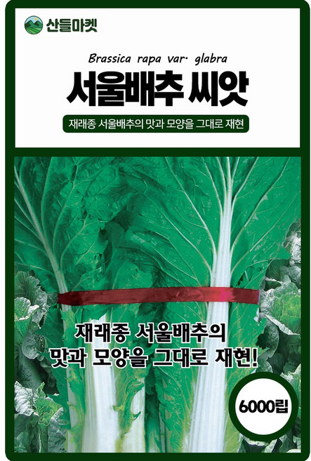 산들마켓 서울배추 씨앗 6000립 재래종 서울배추의 맛과 모양을 그대로 재현한 맛좋은 고급 품종, 5개