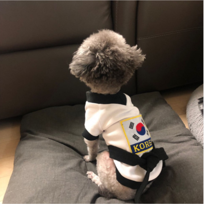 강아지옷 태권도복 도복 애견 의류 특이한 옷 대형견 옷 2 3 4 5 6XL, 1개