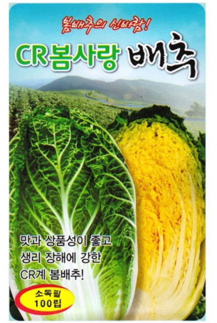영농사 CR 봄사랑 배추 씨앗 100립 봄배추씨, 1개