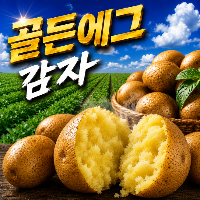 (파격특가) 햇감자 산지직송 골든에그 황금감자, 1박스, 3kg(특대)
