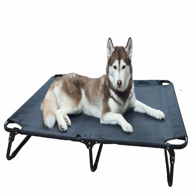 그램도그 강아지 해먹 애견 침대 대형견 이동식 캠핑 의자, 1개