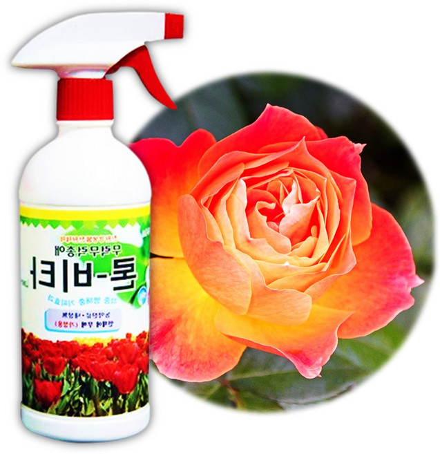 장미진딧물 고추진딧물약 장미 살균제 살충제 텃밭개미퇴치, 1개
