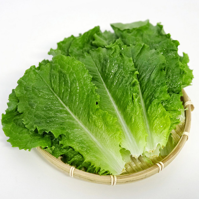 국내산 울팜 청상추 로메인 쌈채소, 1개, 500g