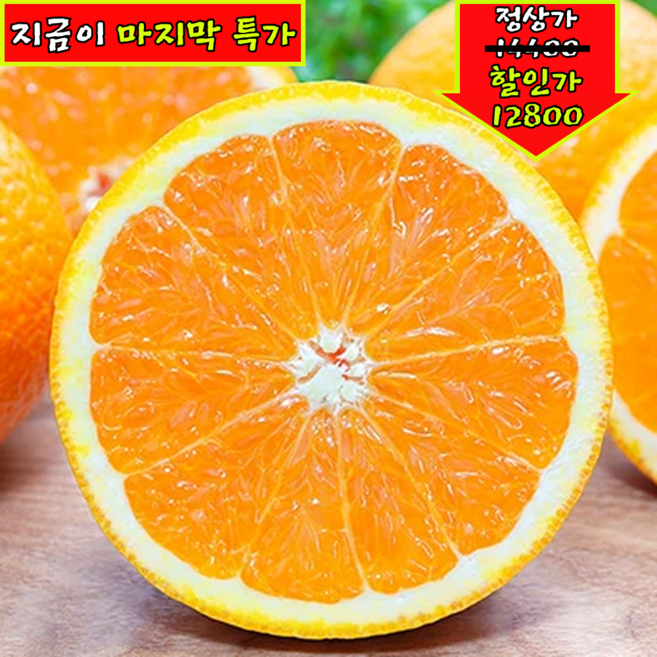 [24시간특가] 고당도 제철꿀과즙 재구매폭주 카라향, 1박스, 2kg (BEST 추천)
