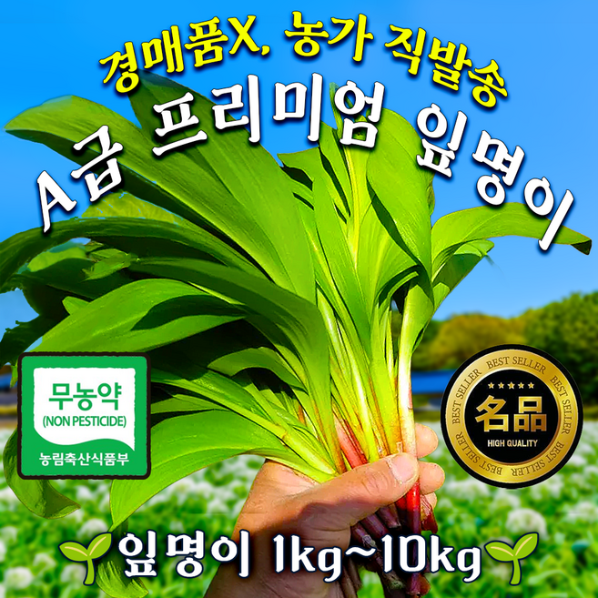 [최저가이벤트곧종료!!]아삭달큰 무농약 명이나물 울릉도 잎명이, 1개, 1kg