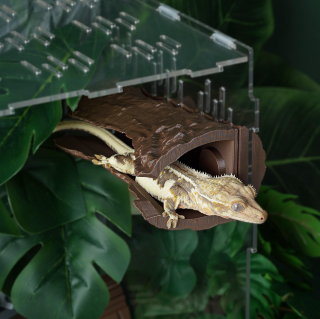 테라돔 도마뱀사육장 안식처 은신처 공주밤나무