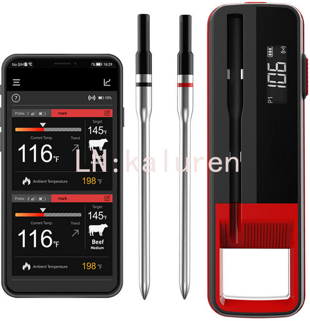 【崇德店】爆品2針燒烤叉藍//牙BBQ探針 烤肉藍ya食物溫度計, 1個, 雙探針版