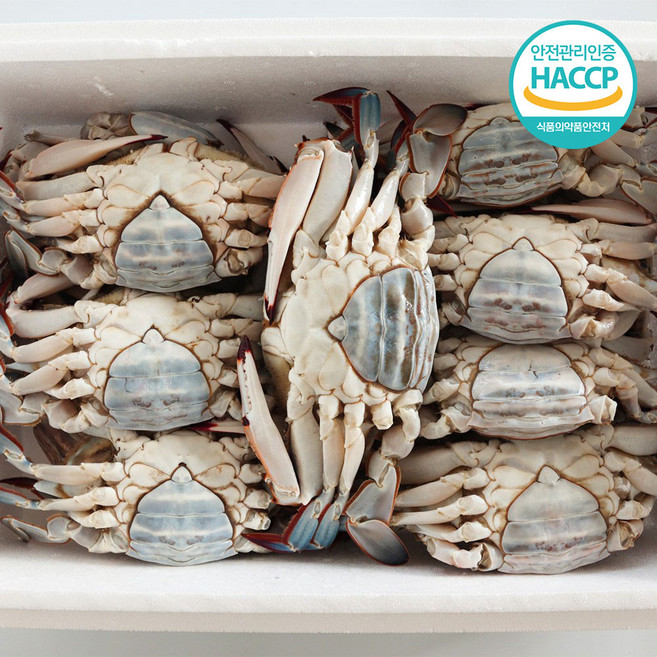 [연평도] 국내산 특품 급냉 암꽃게, 1개, 1kg (3-5미)