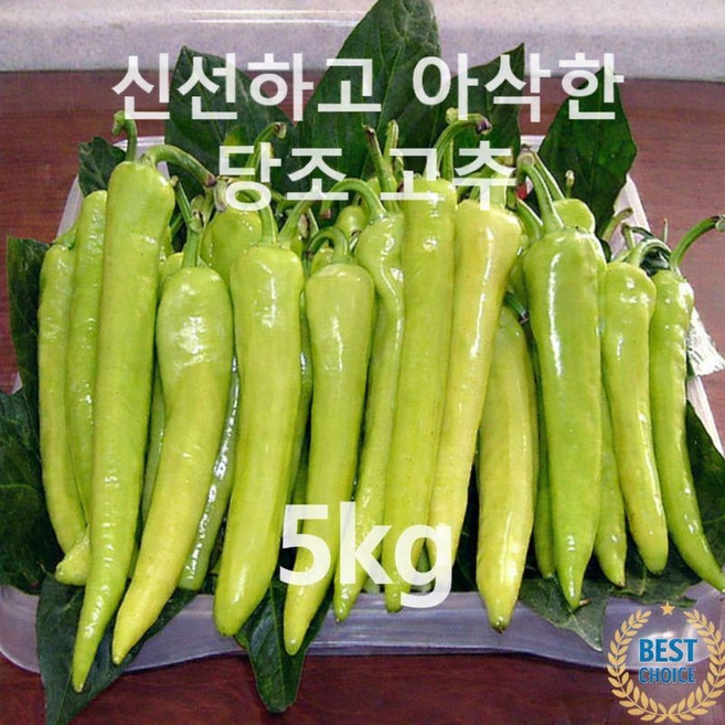 [탁월한 혈당 조절] 건강 관리에 탁월한 아삭한 당조 고추, 1박스, 당조고추 5kg
