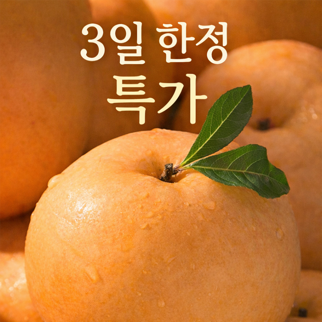 [파격할인] 산지직송 당도선별 나주 신고배 특상, 1박스, 5kg