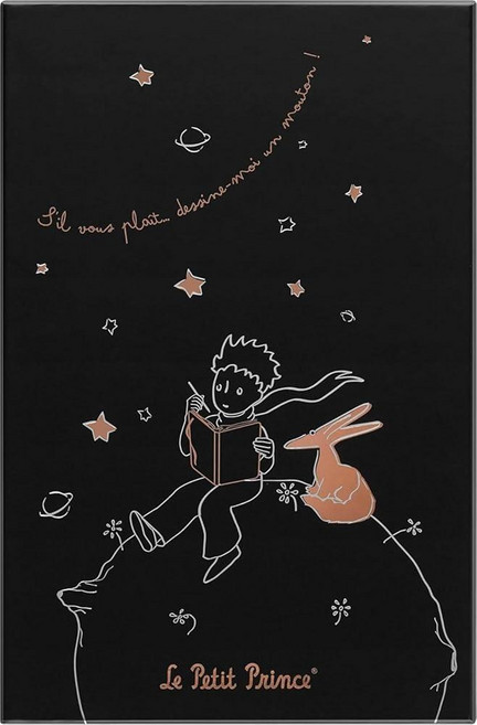 몰스킨 어린왕자 룰드 하드커버 블랙 라지 노트, Large