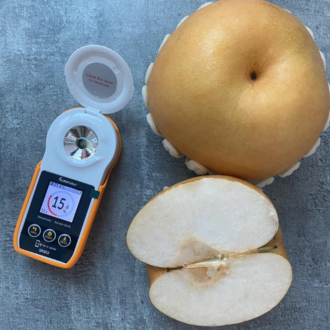 가정용 공품 15브릭스 고당도 나주 신고배 5kg 소중대, 대 5-7과, 1개