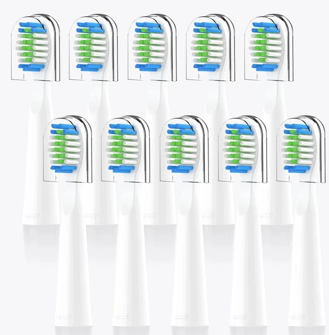 Bitvae D2 전동 칫솔 교체 헤드 성인 DuPont 강모 노즐 브러시 헤드 Bitvae D2 전동 칫솔용 10개, 02 10PCS WHITE