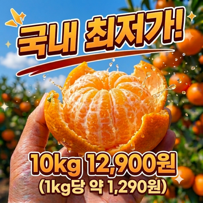 [30년 장인] 제주 극조생 감귤 새콤달콤, 1개, 대과 10kg
